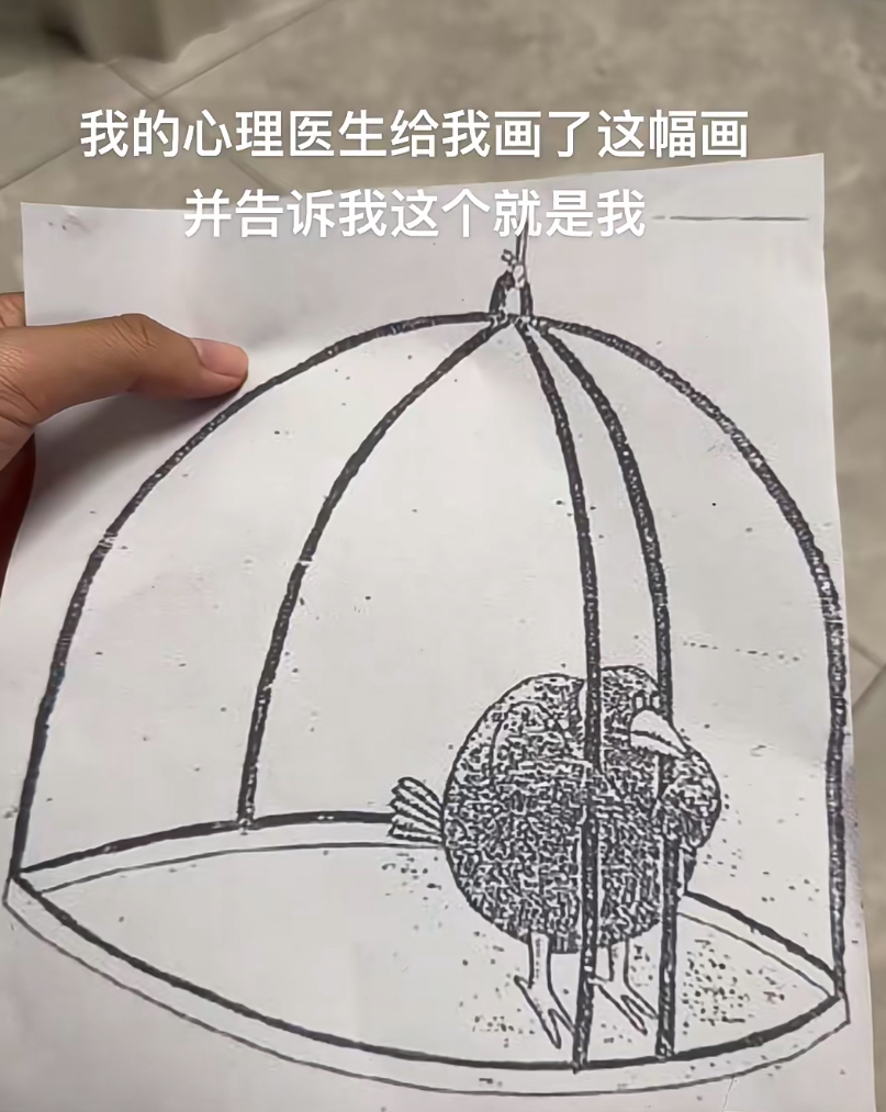 笼