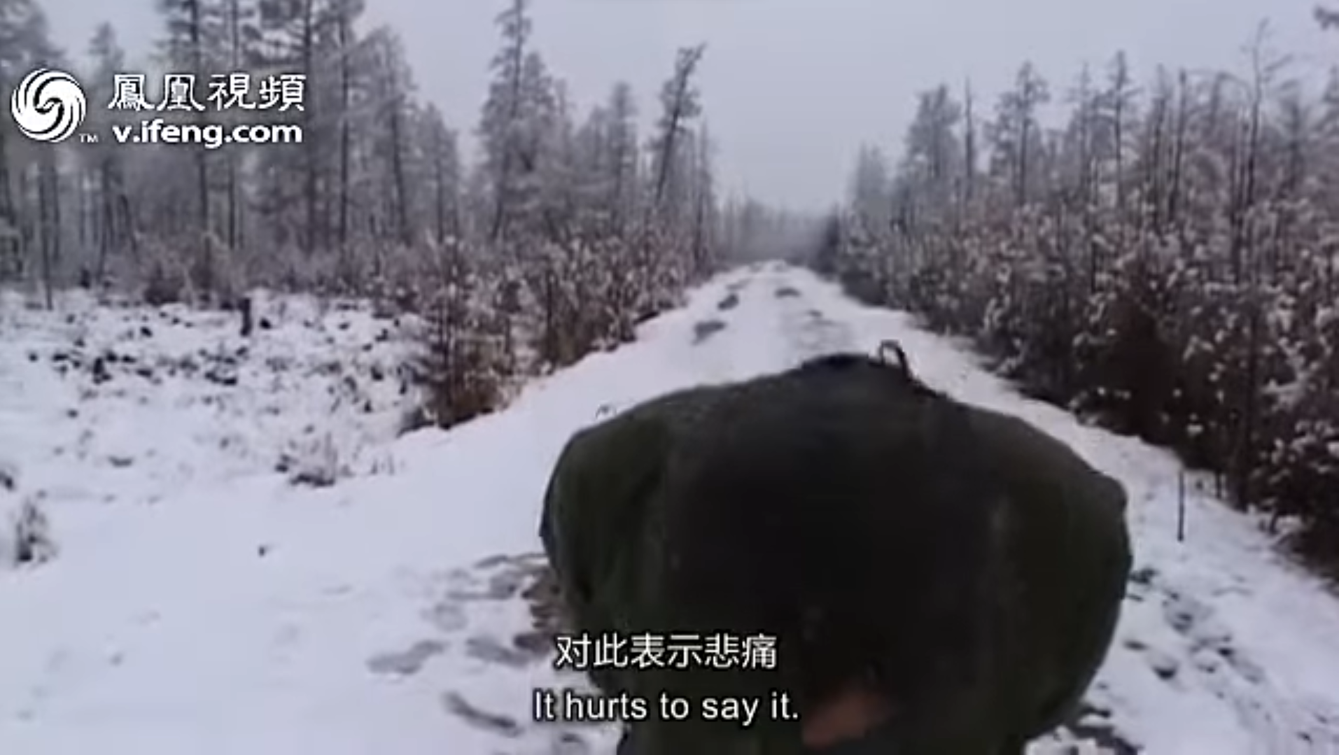 维加：对此表示悲痛 | 犴达罕.png